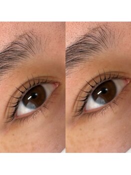 ディーロータス(D-lotus)/マスカラパーマ/まつげティント