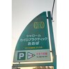 シャロームカイロプラクティックおおばのお店ロゴ