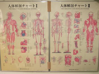 渋谷宇田川町カイロプラクティック/骨格矯正&姿勢矯正