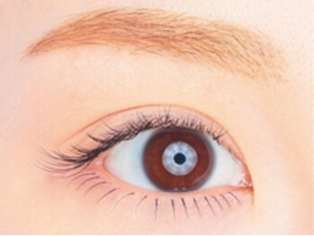 まつげエクステ専門店 ヴィーナスラッシュ 自由が丘店(Venus Lash)/【セクシースタイル】マツエク