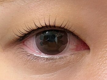 ローラン(LORAN)/ラッシュリフト/マツゲパーマ