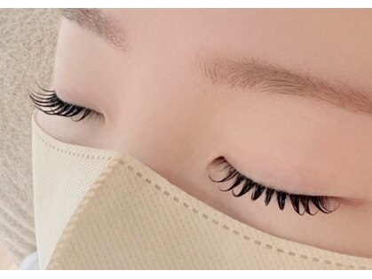 リリー(Lily)の写真