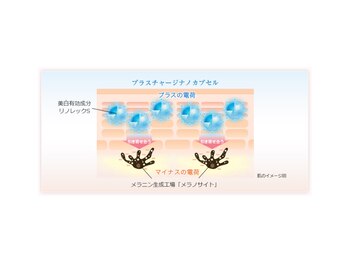 サレーヌ久里浜/プラスチァージナノカプセル