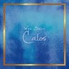 カロス(Calos)のお店ロゴ