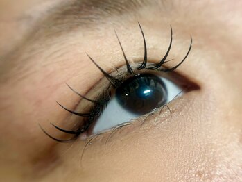 エスーガ(ESUGA)/