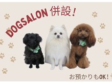 ムー(Mo0)の雰囲気（トリミングサロン、ドッグカフェ併設☆お預かりも可能です♪）