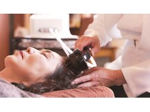 レメディ/グロスファクター育毛促進鍼噴霧