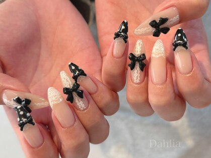 ダリア(Dahlia)の写真