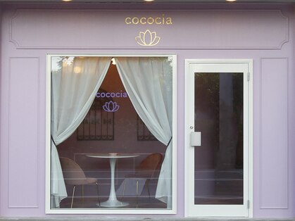 ココシア(cococia)の写真