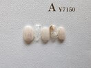 3月　Design course A