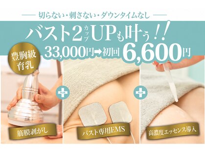 美人バスト 川崎店の写真