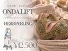 【初めての方にオススメ】小顔×ハーブピーリング〈艶肌毛穴レス〉31000円→