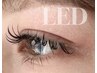 【LED】Wフラットラッシュ80束(160本)　￥6700