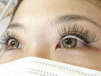 バタフライ 茅ヶ崎店(Butterfly)/フラットラッシュ180本