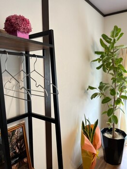 ソエル(soel)/部屋の内観