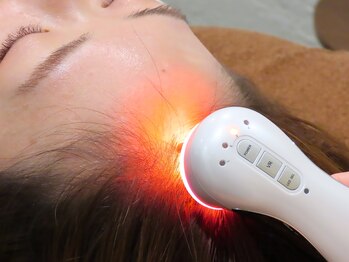 美しき森/美容液を真皮にまで届ける