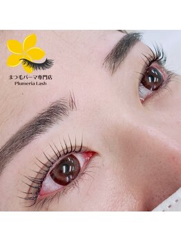 プルメリアラッシュ(PlumeriaLash)の写真/ホッと落ち着くリラックス空間。ナチュラル派さんに人気のまつ毛カールで朝のメイク時短♪