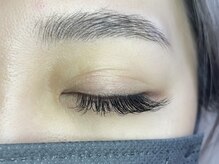 フリー#240(Free#240)/バインドロック360◇両目120束