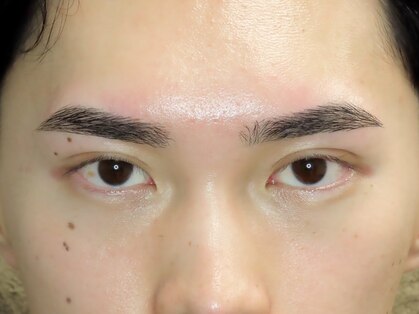 眉毛の匠の写真