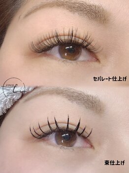 ココル(cocoLu)/【Wフラットラッシュ100束】