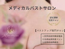 ミネアヴァリー(Mine A Valley)