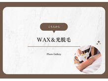 アマランサス(Amaranthus)/長年リピーター様が絶えない