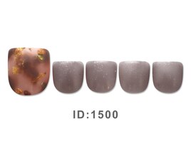 2025年11.12月フット定額