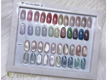 エリクサーネイル 新橋(Elixir Nail)の写真