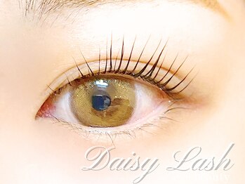 デイジーラッシュ 京橋店(Daisy Lash)/まつげパーマ［京橋マツパ眉毛］