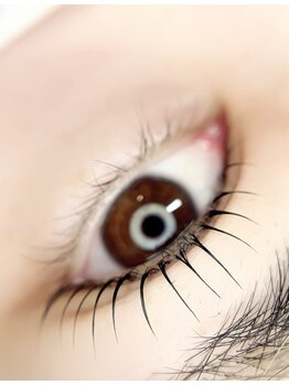 シックドゥホンジョウ(CHIC de Honjo)/まつ毛パーマ