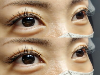 キザキ(Kizaki)の写真