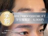 【学割】ハリウッドブロウリフト　6,900円