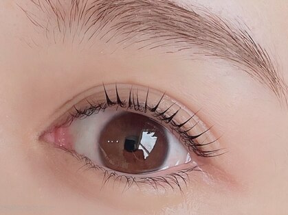 サンタ(SANTA.)の写真