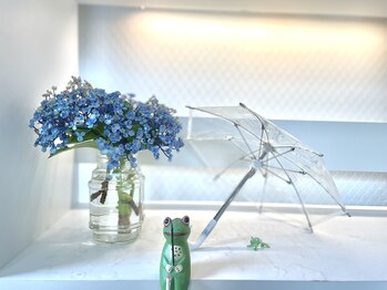 アキュパンクト ラボ 片山治療院(Acupunct Lab 片山治療院)/カエル