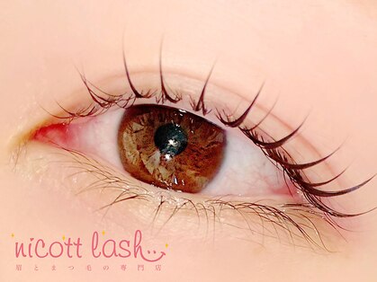 ニコットラッシュ 天王寺店(nicott lash)の写真