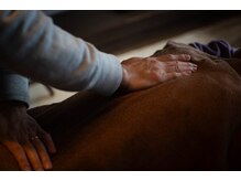 もみほぐし専門店　禅-zen-/