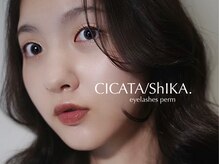 シカタシーカ(CICATA/ShIKA.)