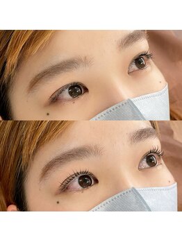 スカイ(Sky)/ケラチンラッシュリフト学割