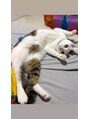 ラヴィールアイズ(Raviur eye's)&nbsp;家に猫います^._.^♪