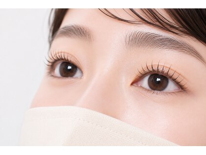ベルトール(VELTOR)の写真
