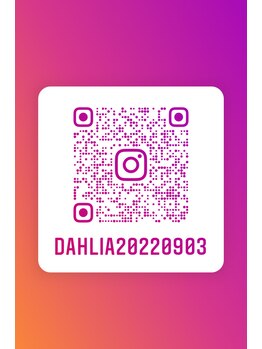 ダリア(Dahlia)/Instagram