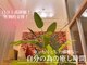 スイートヴィラズ 北堀江店(SWEET VILLAS)の写真