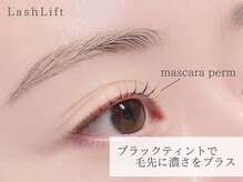 アニュー 目黒(ANEW)/まつげパーマ/ブラックティント