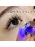 【LED】オフ無料人気シングルより濃いダブルフラット120束アイシャンプー付