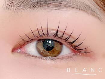 アイラッシュサロン ブラン 和歌山ミオ店(Eyelash Salon Blanc)の写真/【ダメージレスで持続力UP!まつげパーマ】根元から立ち上げパリジェンヌ取扱◎ 流行りの束感まつげも☆