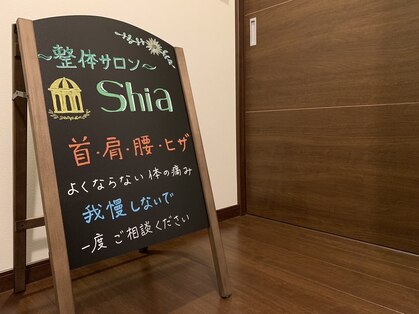 シア(Shia)の写真