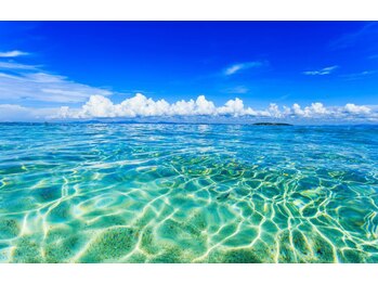 ハワイアンフォレストSpa 新横浜店/新横浜駅からスグ!