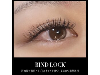 アルム(Aleum)/特許技術バインドロック100束