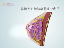 サラエクセレント 梅田(SARA EXCELLENT)/《バストアップ》