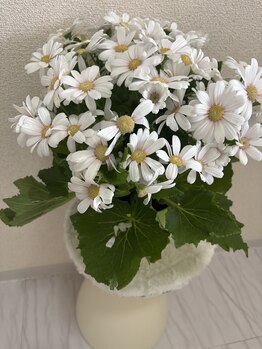 ヨサパーク ハナ 六甲道(YOSA PARK HANA)/かわいいお花